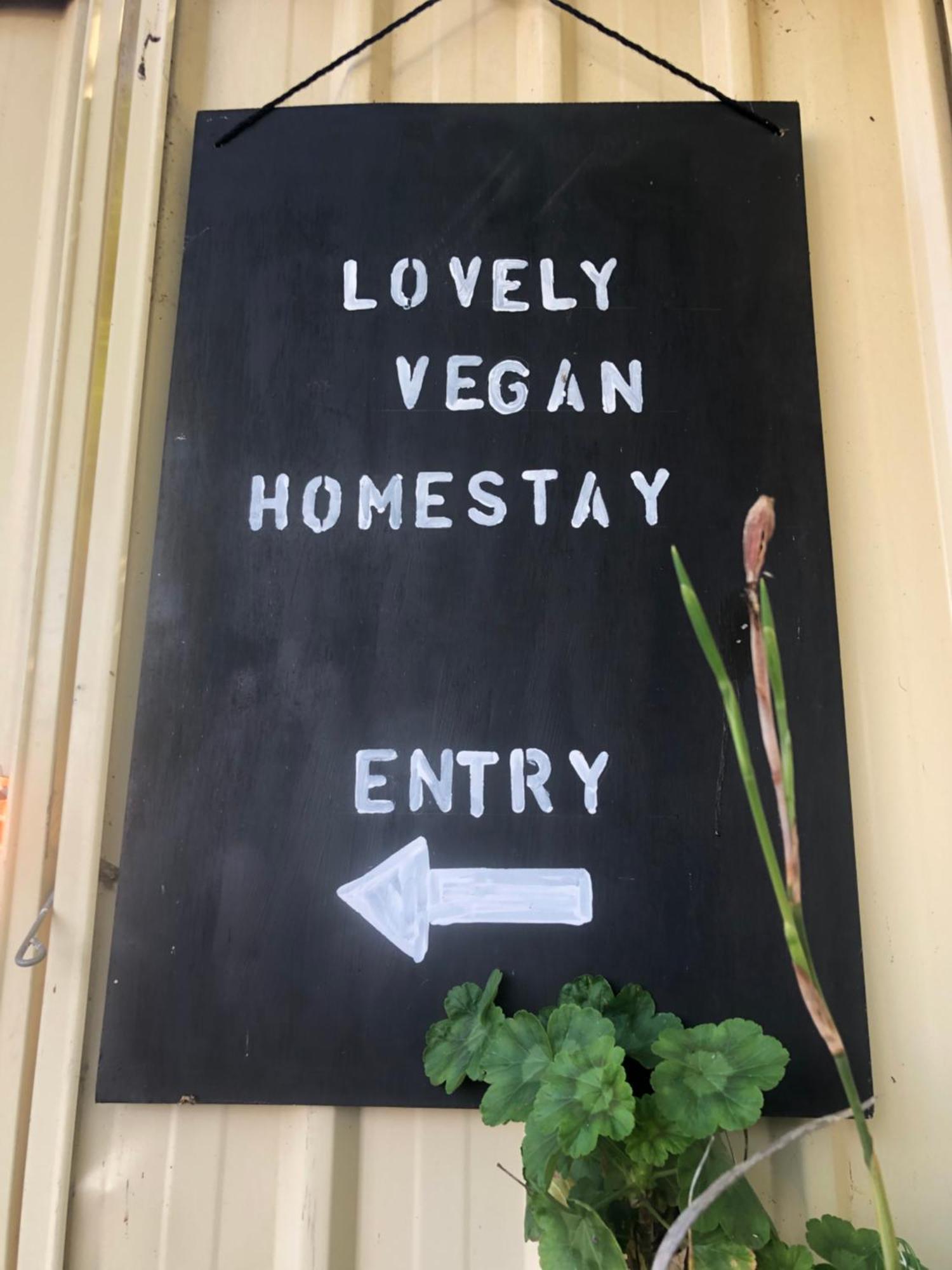 Lovely Budget Vegan Homestay Лонсестон Экстерьер фото